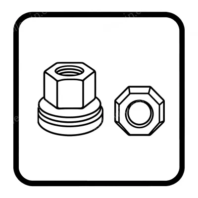 Nuts & Washer