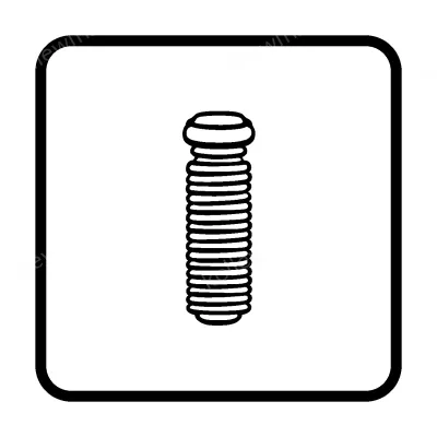 Brass Screw
