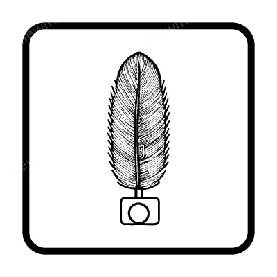 Feather